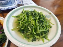 -小小饭店·休闲农庄·安吉松树林里的农家菜