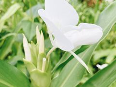 -阳台山森林公园