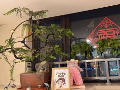 -珍贞佰俪·针清祛痘印敏感管理