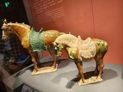 -陕西历史博物馆