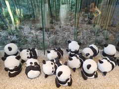 -杭州植物园