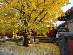 -北京石刻艺术博物馆(五塔寺)