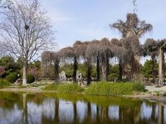 -石家庄市植物园