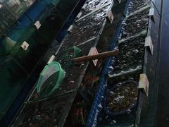 爆炒螃蟹-叶姐海鲜(棋子湾店)