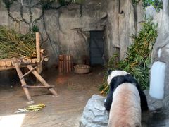 -深圳野生动物园