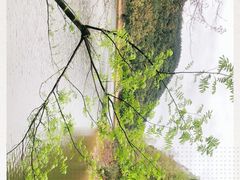-千岛湖龙川湾