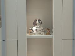 -唐小姐の私宠·宠物洗护美容·撸猫馆·购宠(周浦万达旗舰店)