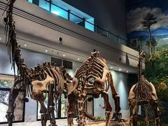 -自贡恐龙博物馆