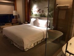 -深圳观澜格兰云天国际酒店