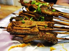 鳝鱼-晓靖轩烧烤(沙河风情店)