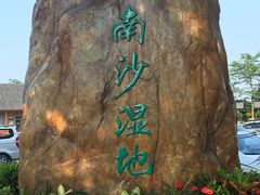 -大湾区中央湿地公园