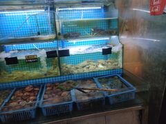 -老东镇啤酒屋海鲜加工·蒸汽海鲜·海鲜烧烤(台东店)