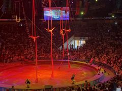 -俄罗斯国家大马戏团