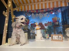 -百好乐宠物友好餐厅(朝外大街店)