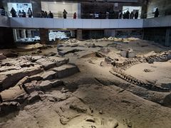 -自贡恐龙博物馆