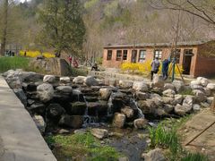 -白水寺森林公园