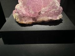 -山东博物馆