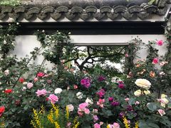 -郭庄茶室