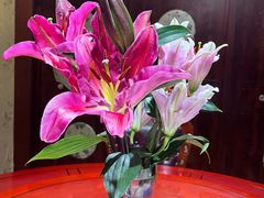 -墨白私房菜·广东菜 粤菜