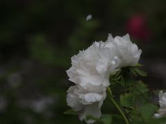-江南大学(蠡湖校区)