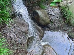 -素山寺森林公园