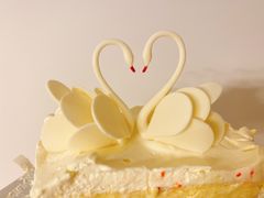 -BLACKSWAN黑天鹅(环球店)