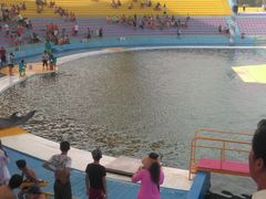 -秦皇岛乐岛海洋王国