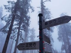 -瓦屋山景区