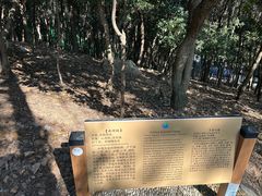 -香雪海