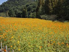 -贵阳市花溪国家城市湿地公园