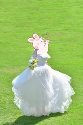 -金夫人婚纱摄影(总店)