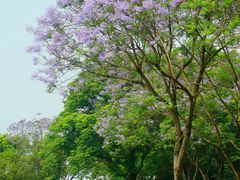 -重庆中央公园(渝北区)