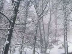 -崂山巨峰游览区