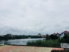 -日照海滨国家森林公园