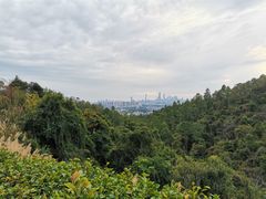 -火炉山森林公园