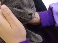 -瑞鹏宠物医院·爱宠堂·骨外专科(西荷分院)