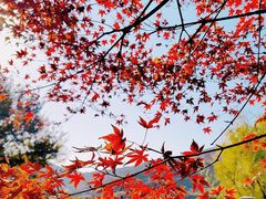 -长广溪湿地公园