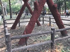 -北京麋鹿生态实验中心