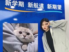 -新航道雅思托福·留学·考研培训(人民广场校区)