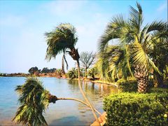 -月亮湾湿地公园