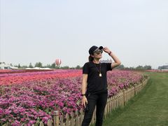 -荷兰花海
