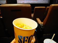 -SFC上影影城(港汇永华IMAX激光店)