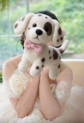 -金夫人婚纱摄影(总店)