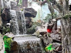 -多彩贵州城极地海洋世界