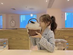 -猫猫幼稚园·撸猫·桌游·电玩