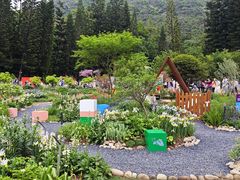 -深圳仙湖植物园