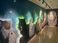 -猫腻·猫咖·撸猫馆(星光大道店)
