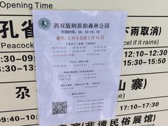 -西双版纳原始森林公园