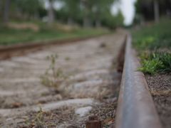 -永定河休闲森林公园