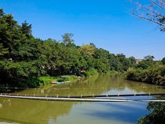 -南宁良凤江国家森林公园